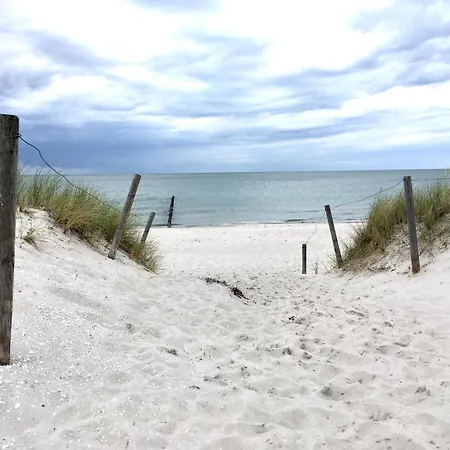 Ostseetraum 징스트