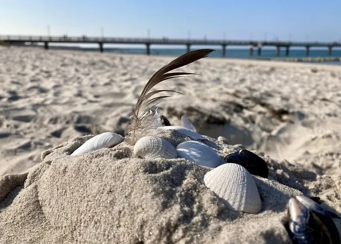 Διαμέρισμα Ostseetraum